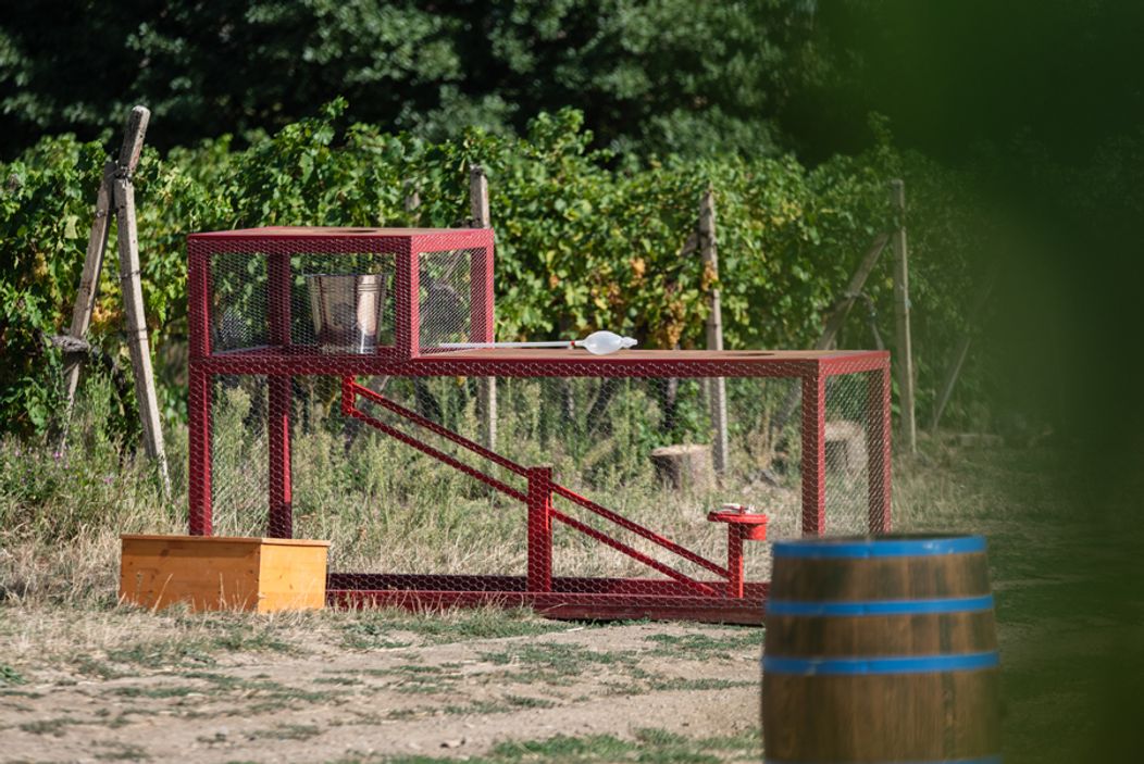 34. deň na Farme