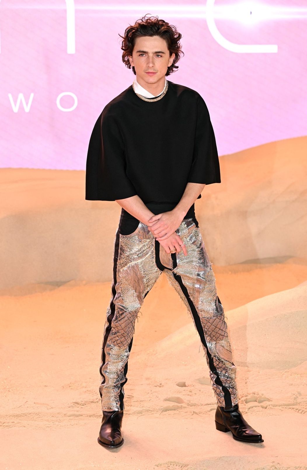 Timothée Chalamet