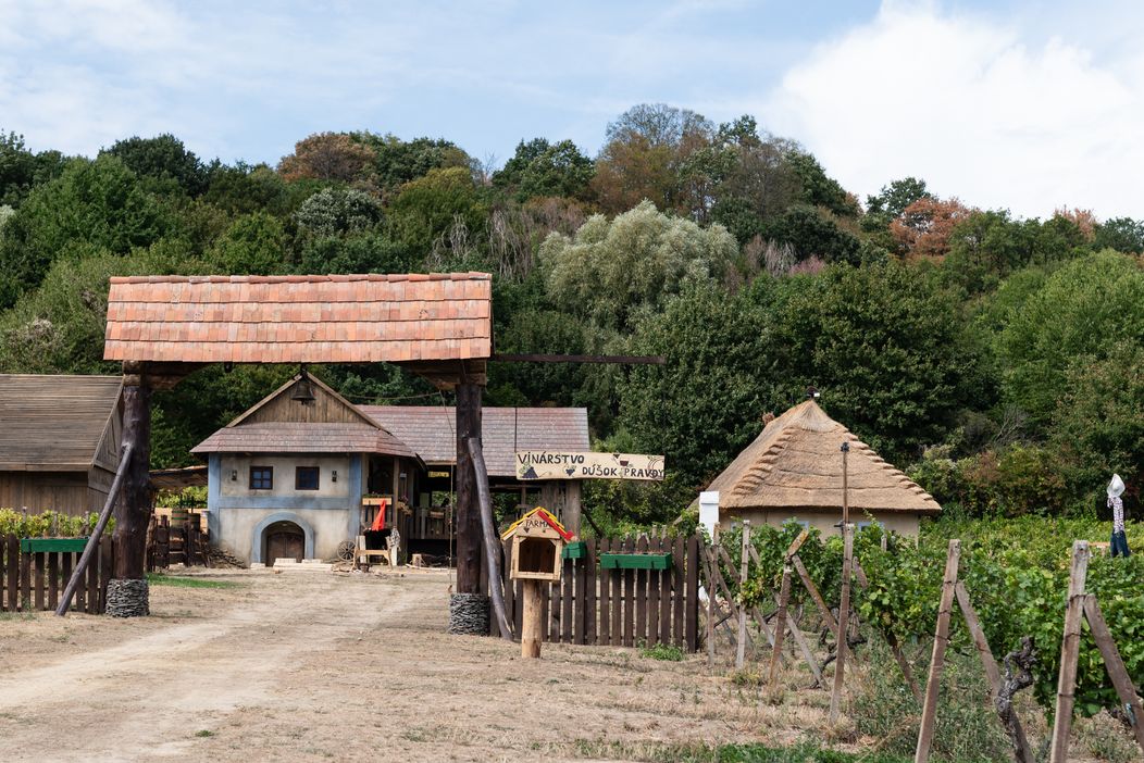 33. deň na Farme