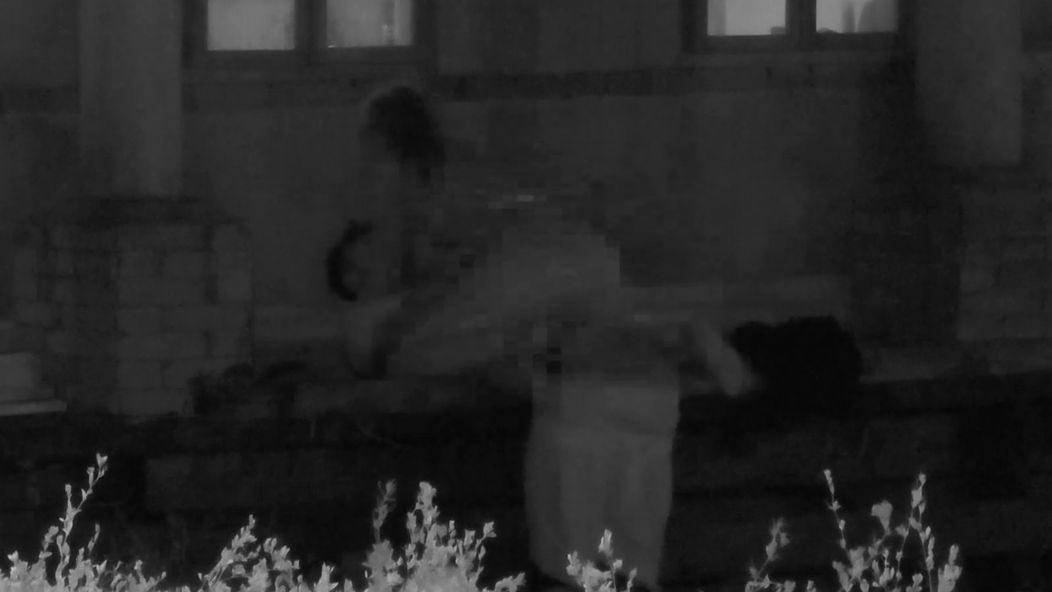 Lenka a Matúš si na Farme užili vášnivú noc