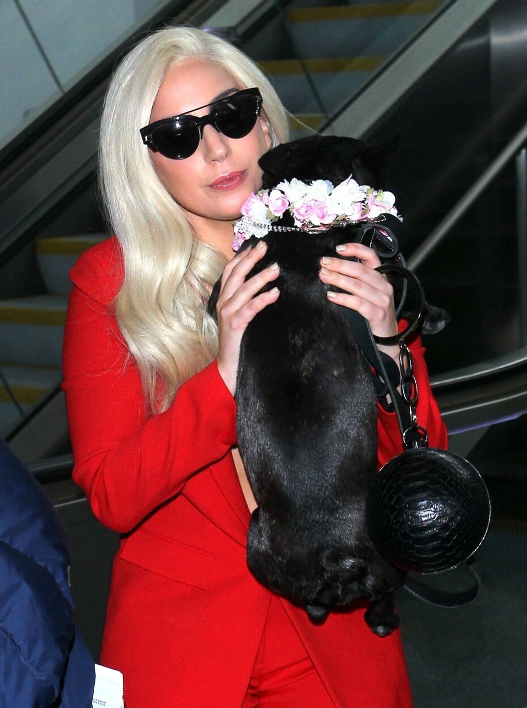 Lady Gaga a jej miláčikovia