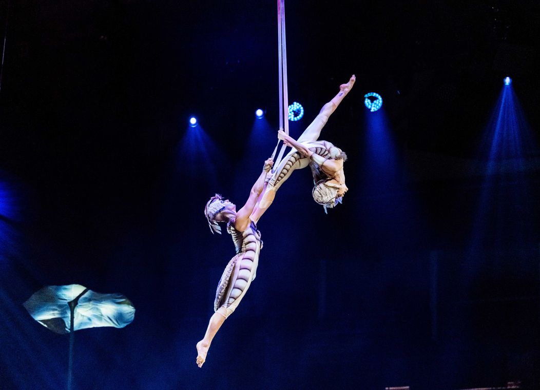 Ako vzniká OVO? Nahliadnite do zákulisia jednej z najslávnejších šou Cirque du Soleil