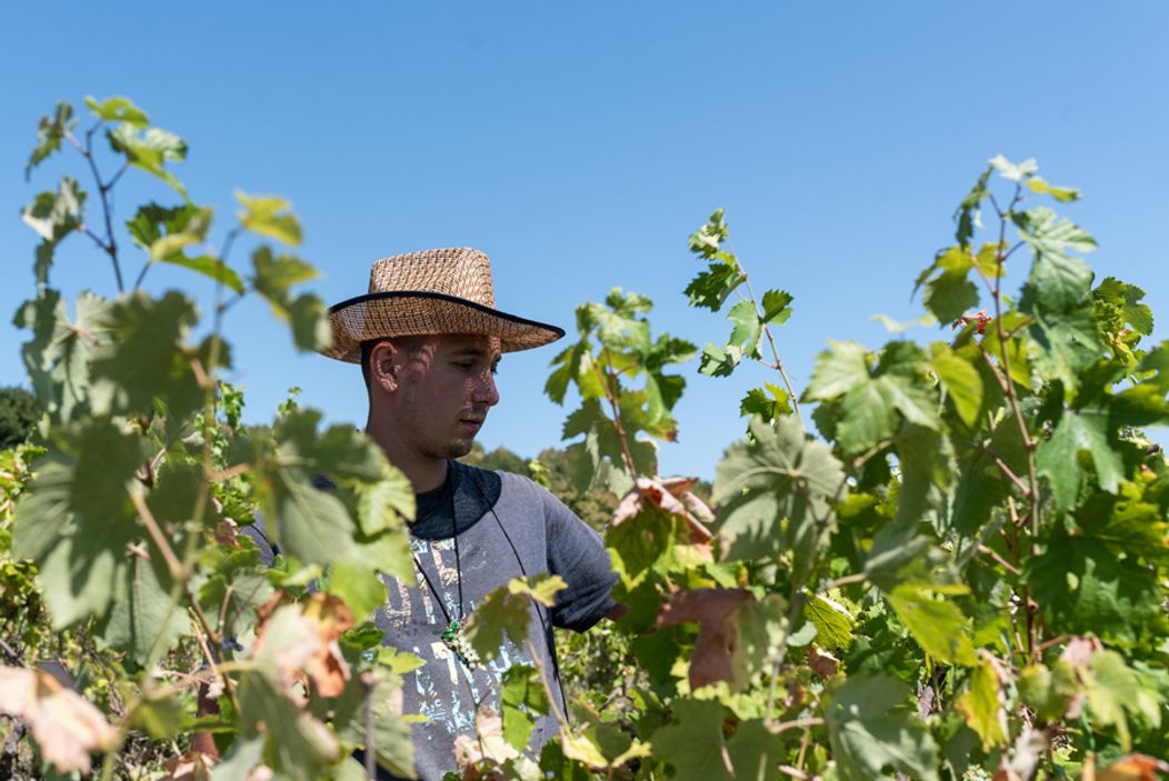 DSC_8358