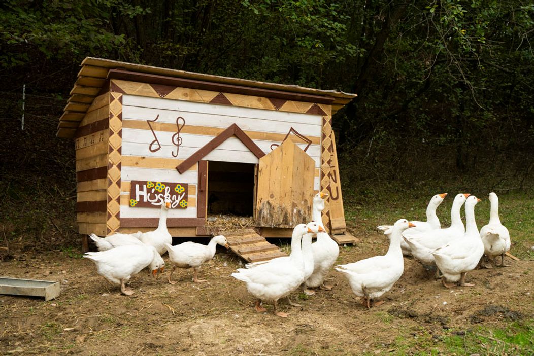 55. deň na statku bol pre Veroniku posledným