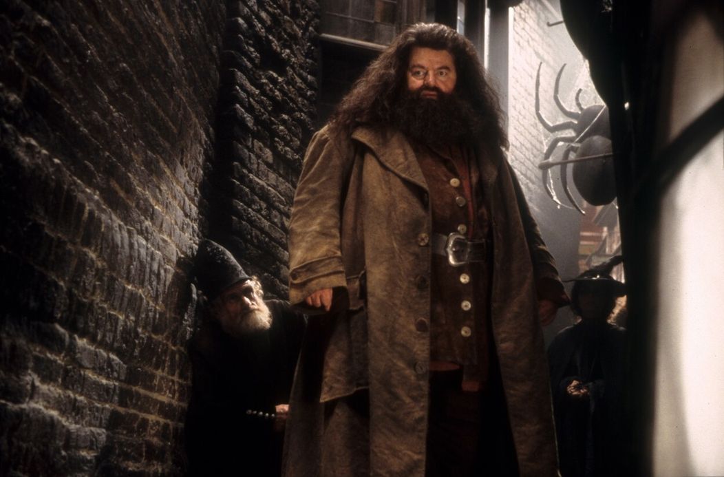 Robbie Coltrane ako Hagrid v Harrym Potterovi.