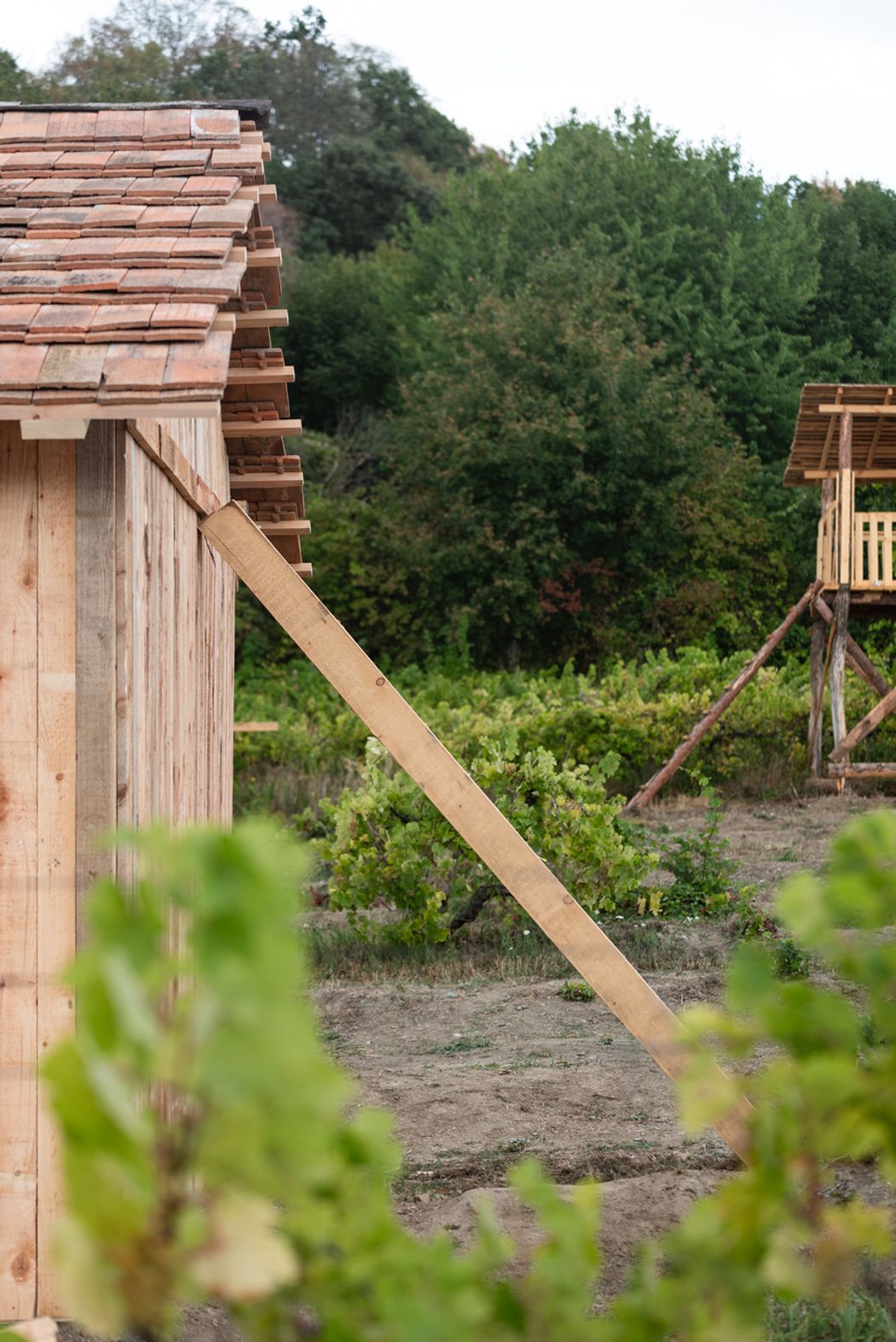 Piaty duel na Farme