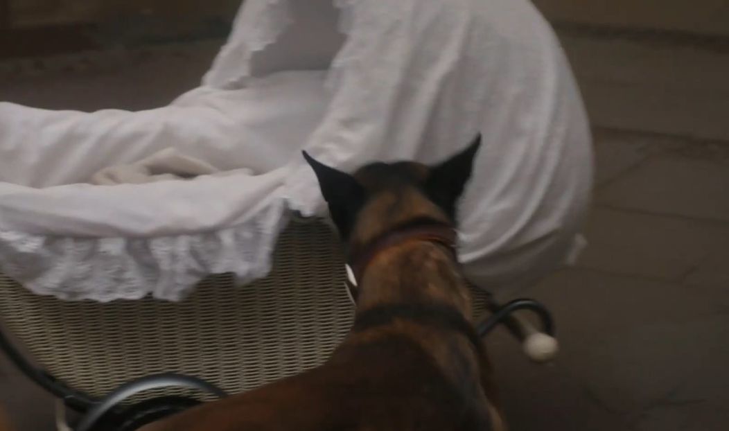 Pokojná prechádzka Waltera a Helgy s deťmi sa v sekunde zmení na horor.