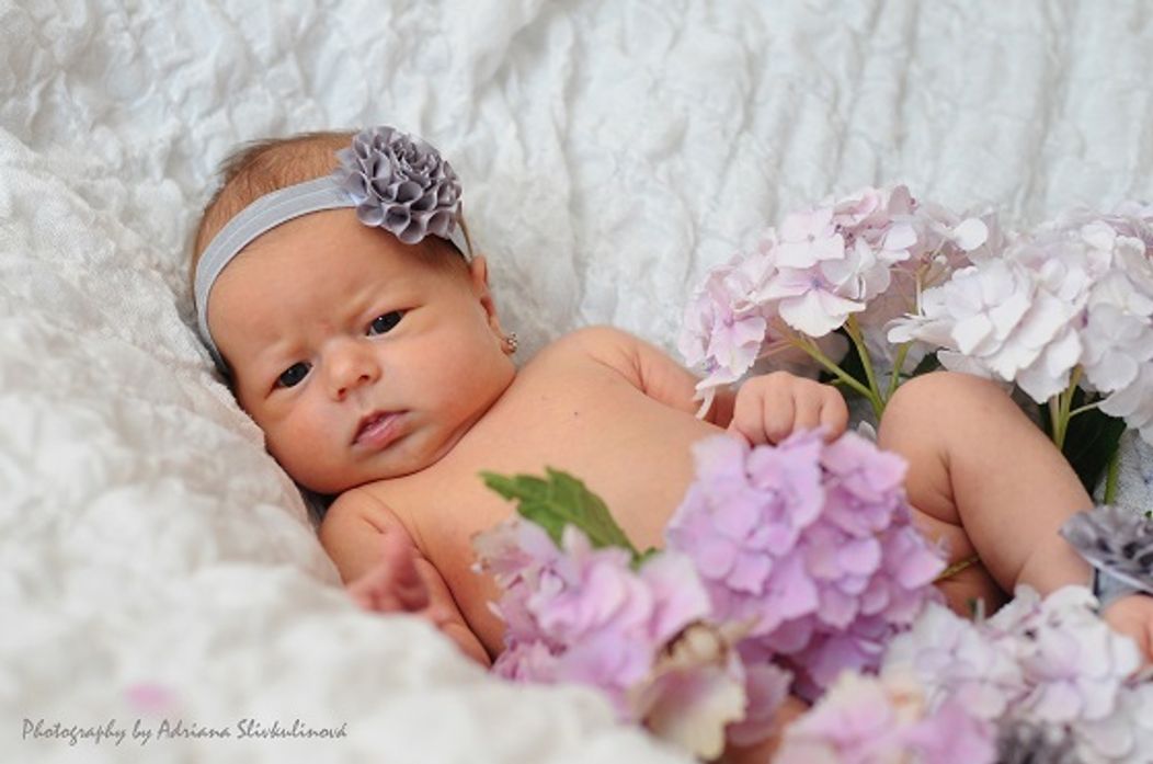 Baby Boom
