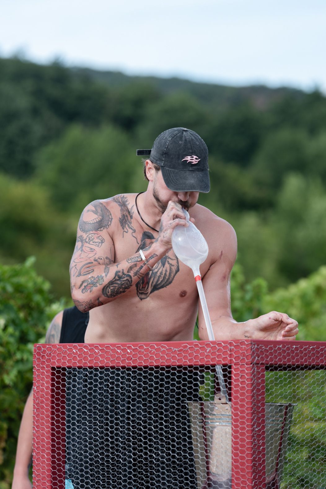 29. deň na Farme