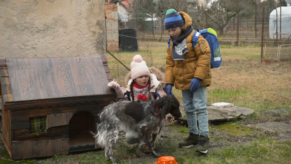 Oteckovia ukážka - Záchrana týraného psíka