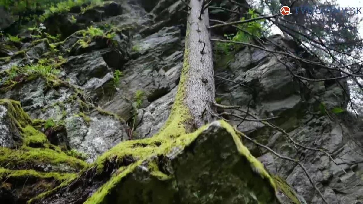 Tribula pozval na hory lovcov unikátnych záberov