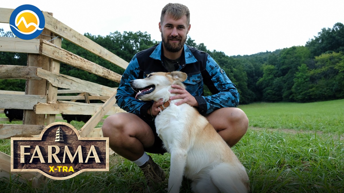 XTRA/EPI/26/FINAL