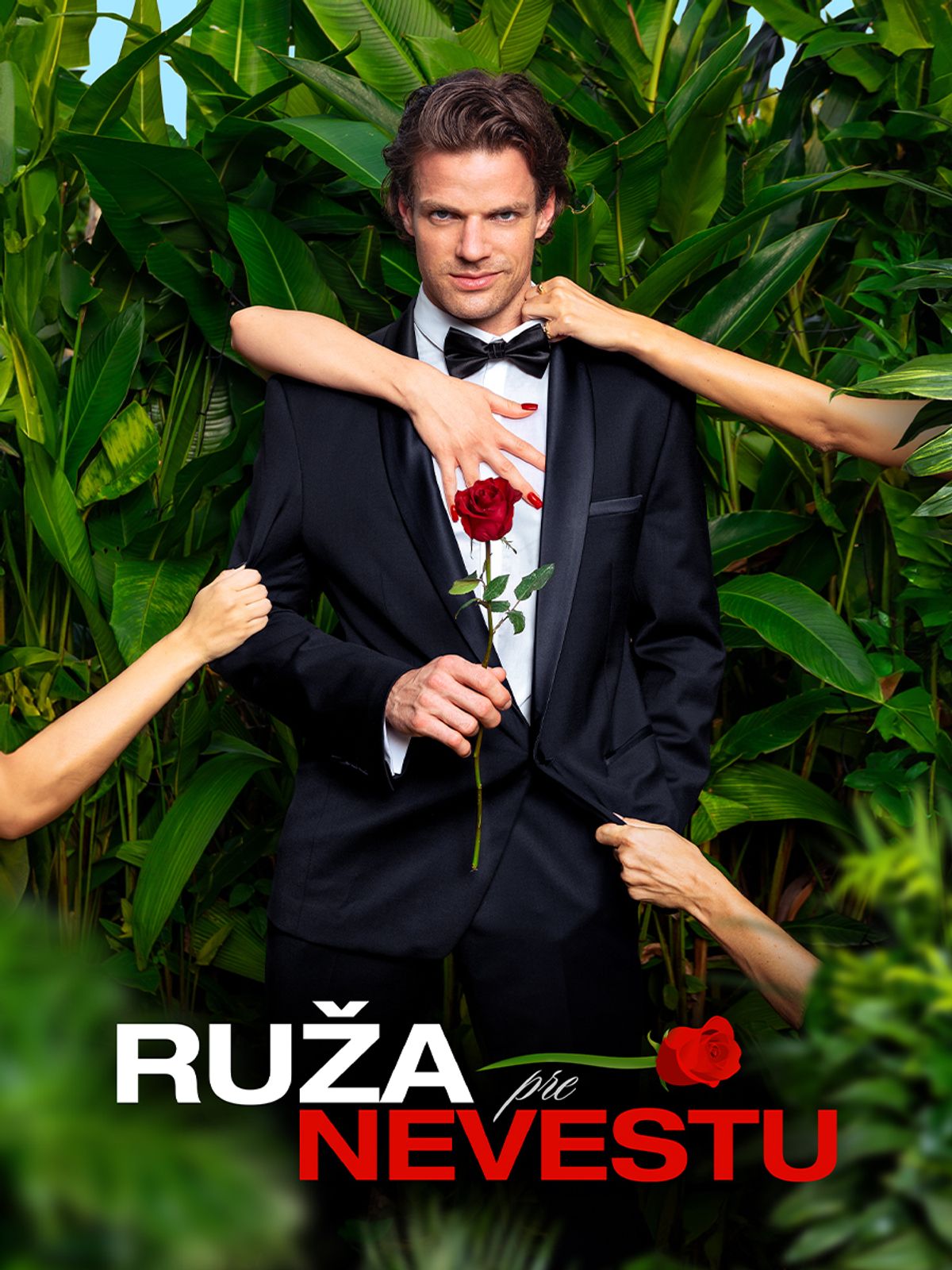 Ruža pre nevestu | TV Markíza