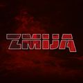 Zmija