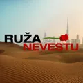 Ruža pre nevestu