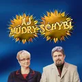 Aj múdry schybí