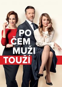 Po čem muži touží