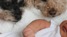 Známa speváčka žiari šťastím: Už je z nej mama