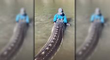 Kanadský rybár sa pochválil kardinálnym úlovkom. Prehistorický kolos mal takmer 4 metre a vážil štvrť tony