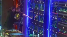 Všetci si mysleli, že mu preskočilo! Z rybiek v akváriu chcel spraviť suši