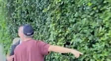 Video: Hollywoodskej hviezde praskli nervy. Muž chcel podpis, takmer sa pobili