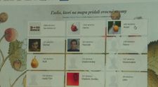 Slovák vytvoril projekt, aký tu ešte nebol