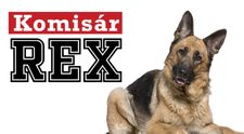 Ako dobre poznáte najslávnejšieho detektívneho psa? Otestujte sa v KVÍZE!