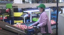 Odborári žiadajú pre Slovákov rozprávkovú minimálnu mzdu. Suma vyrazila mnohým dych