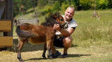 Prešiel som si peklom! Robo po Farme odchádza zo Slovenska