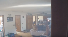Psa zlákali palacinky položené na sporáku, pre pažravosť takmer podpálil byt