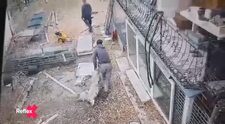Za dobitie psa pred súdom