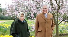 Milovníci kráľovnej Alžbety II. sa môžu tešiť: Budúci rok nevynechajte Buckinghamský palác