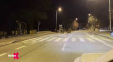 Opatrnosť často nestačí: Premnožené stáda danielov križujú cesty