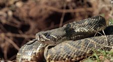 Bolestný začiatok roka seriálového fešáka. Korona mu vzala najbližšieho človeka...