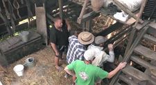 Aká bude reakcia hospodára? Farmárom zovrelo žalúdky, prišli o jedno zviera!