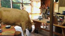Na statku hrozí hladomor: Farmári prišli o zásoby jedla na celý týždeň!