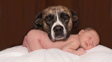 Anjelikovia ako z rozprávky: Toto je váš Baby Boom (4)