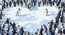 Happy Feet a ďalšie vianočné prekvapenia!