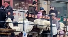 Veľké hviezdy na Slovensku: Pozrite koho môžete stretnúť v obľúbenom meste