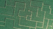 Chcete sa stratiť v kukurici? Ukážeme vám unikátne a obrovské slovenské bludisko