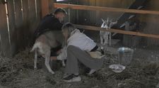 Mersi očiernila Ľuba neprávom: Toto v skutočnosti povedal počas rozhovoru s Vivien