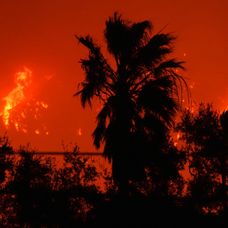 Ničivé požiare v Los Angeles