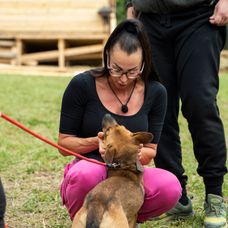 Na Farme sa objavil nový miláčik, najstaršia generácia vymenila nákup za peniaze