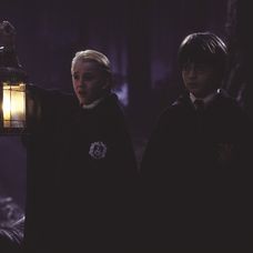 Harry Potter a Kameň mudrcov