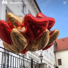 Tesne pred obradom.