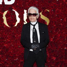 ictoria Beckham pózuje s cenou Bambi, ktorú jej odovzdalKarl Lagerfeld  14. novembra 2013 v Berlíne. 