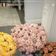 Kylie sa pochválila kvetmi, ktoré po pôrode dostala.