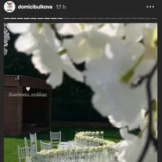 Na oslave bolo všetko do detailov premyslené