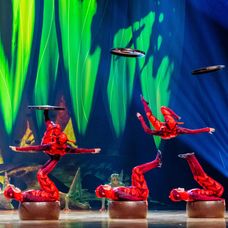 Ako vzniká OVO? Nahliadnite do zákulisia jednej z najslávnejších šou Cirque du Soleil