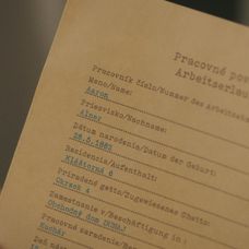 Povolenie, ktoré Holubec roztrhal
